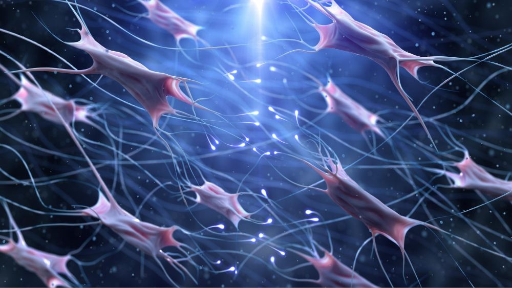 Cellular Repair Research Peptides