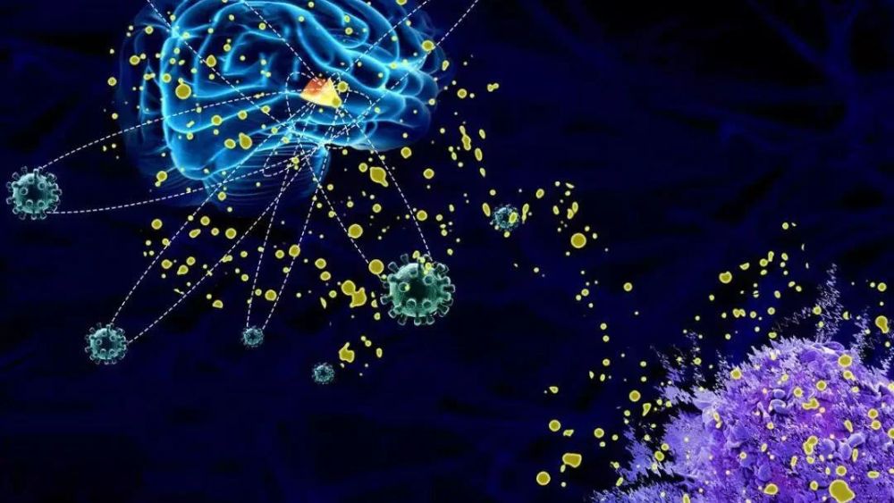 Immune & Reproductive Research Peptides