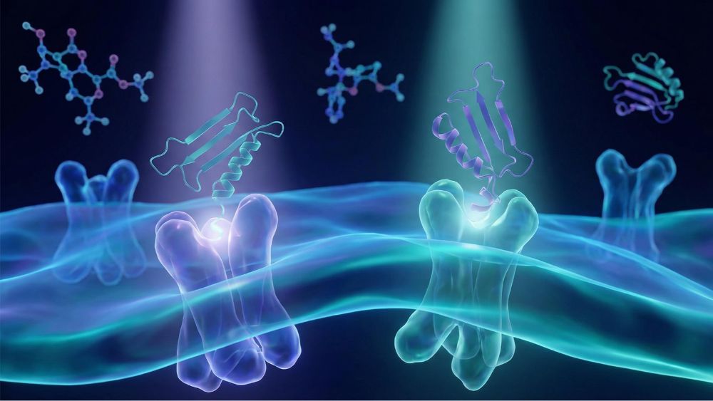 Metabolic Research Peptides