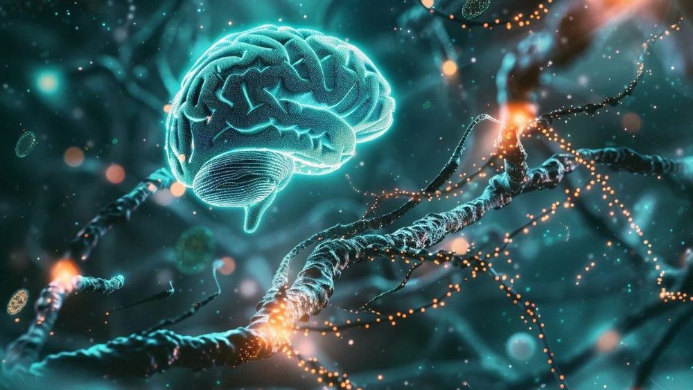 Neuroscience Research Peptides